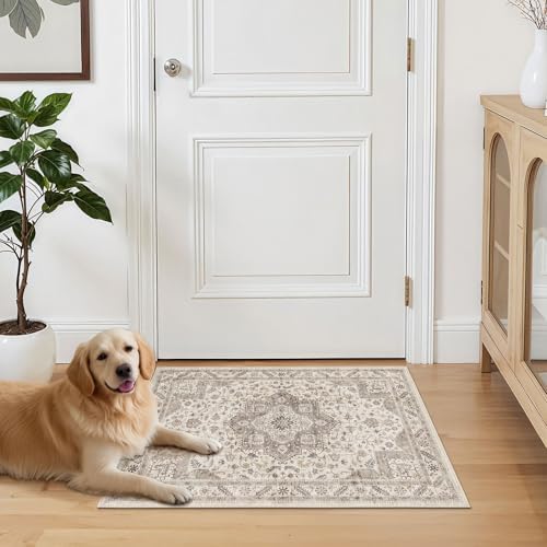 cotiled 3x5 Area Rug for Living Room, Washable, Traditional, Light Brown