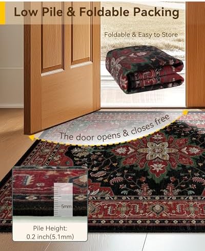 RELEANY Washable Area Rug, 5'x7', Red/Black