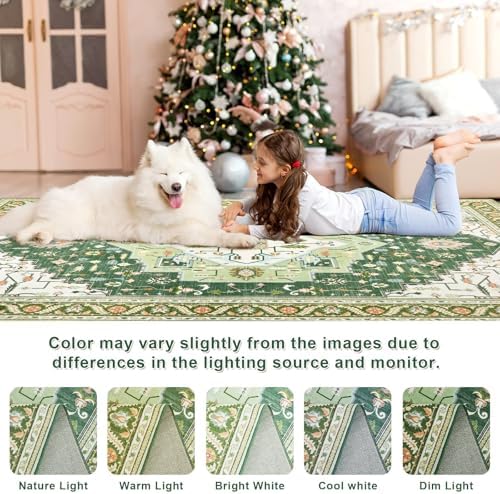 Macgace Washable Vintage Small Area Rug for Entryway, 2x3 Rugs Green White