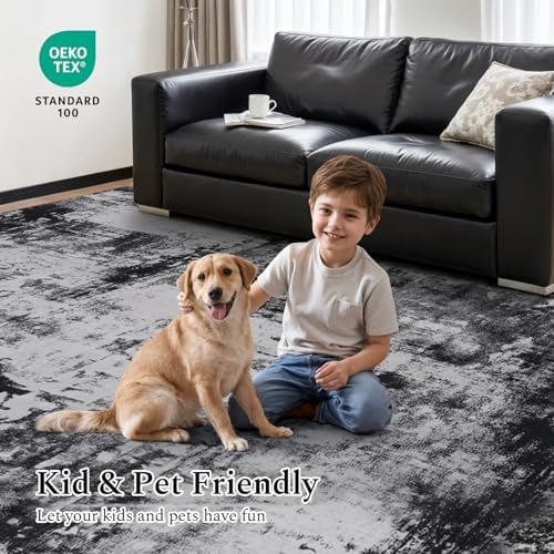 Rugflix 6x9 Area Rugs for Living Room, Washable Black Grey Dark Large Rug