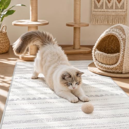 Nakagishi Boho 2x3 Washable Area Rug Non Slip Carpet for Entryway Gray