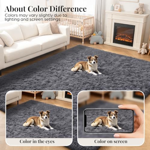 PLHXFR 4x6 Area Rugs Living Room: Fluffy Bedroom Rug Shag Carpet Grey