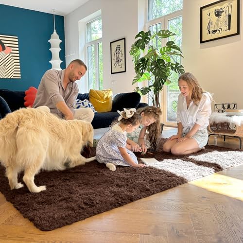 OLANLY 5x6 Area Rugs for Living Room Bedroom, Machine Washable Soft Fluffy Shaggy Bedside Rug, Indoor Floor Carpet for Kids Girls and Boys, Dorms, Nursery Rooms, Home Decor Aesthetic, Coffee