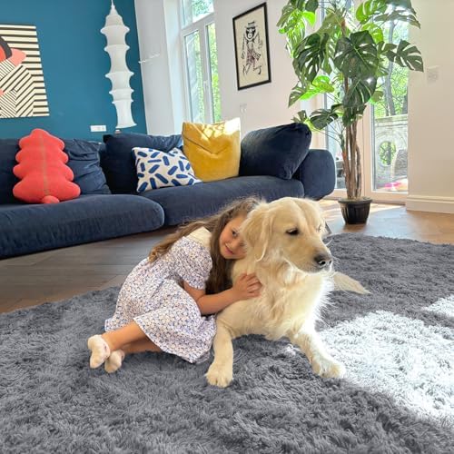 OLANLY 4x5 Machine Washable Accent Rug, Soft Fluffy Shaggy Area Rug for Bedroom, Living Room, Indoor Floor Carpet for Kids, Nursery, Home Decor, Light Grey