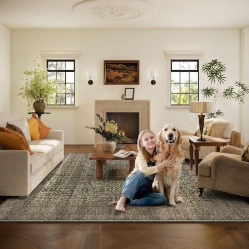 Machine Washable Rugs for Living Room: 6x9 Area Rugs Boho Vintage Rugs Stain Resistant Non Slip Low Pile Soft Lightweight Carpet for Bedroom Kitchen Dining Room Nursery Kids Room Farmhouse