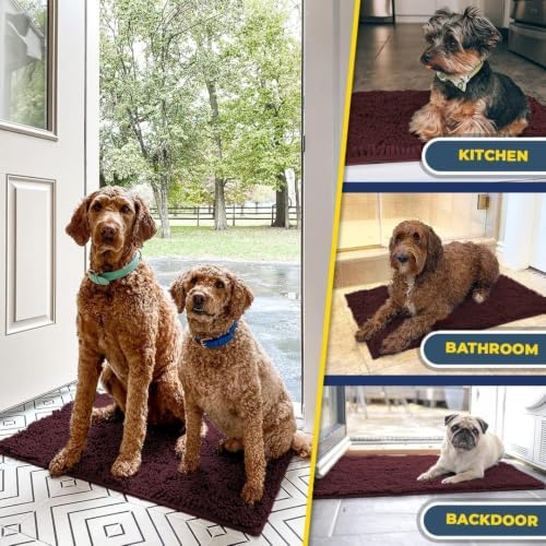 Muddy Mat® | Super Water Absorbent Door Mat Indoor, Microfiber Quick Dry Chenille Entryway Rug, Slip Resistant Front Door Mat, Indoor Mats for Entryway, Machine Washable Pet Rug, Rust 20" x 30"