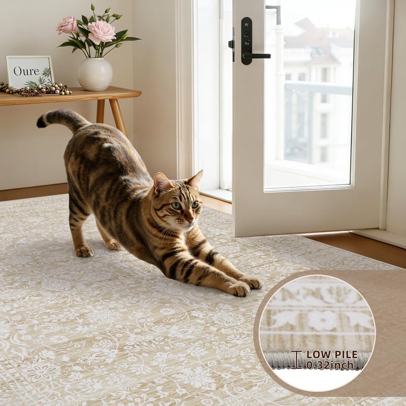 3x5 Area Rugs Living Room: Bedroom Washable Carpet Natural Beige