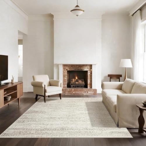 Washable Rugs 5x7 Area Rugs for Living Room,Bedroom,Dining Room Carpet