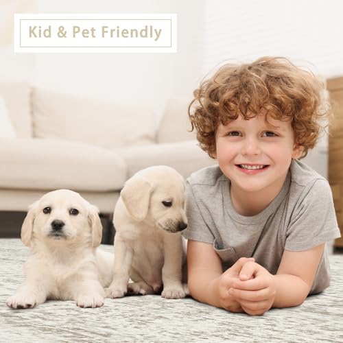 Washable Rugs 9x12 Area Rugs for Living Room,Bedroom,Dining Room Carpet