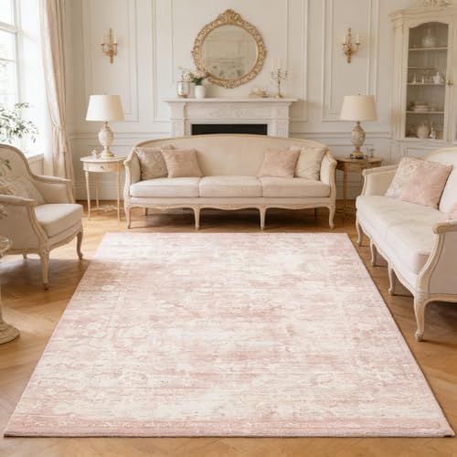 Homemate Washable Rug 5x7 Area Rugs - Vintage Rugs for Living Room