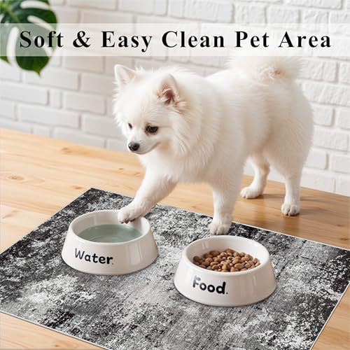 2x3 Washable Entryway Rug – Non-Slip Modern Abstract Neutral Small Throw Area Rug for Kitchen, Bedroom – Soft Low Pile Thin Indoor Door Mat（Black Grey,2x3）