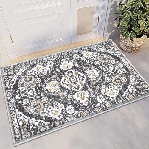 HEBE Indoor Door Mat 2'x3', Washable Welcome Mat for Front Door Entrance