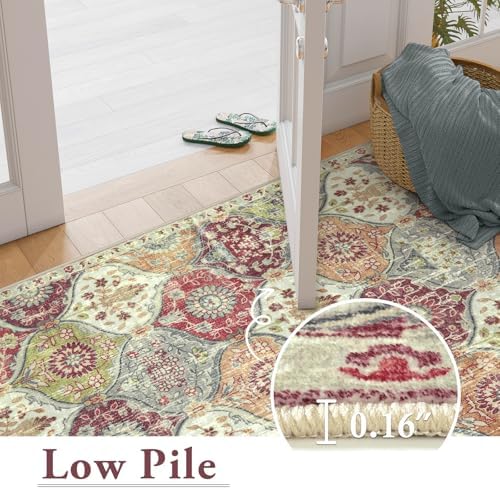 Lahome Washable Entryway Rug, 2x4 Kitchen Rugs for Entryway Bathroom