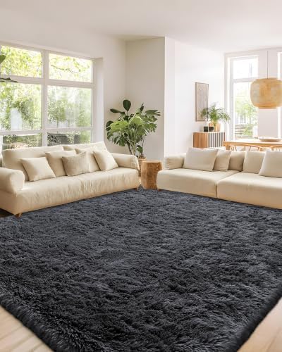 Smiry Area Rugs for Living Room Bedroom 2x3 ft, Fluffy Washable Carpet