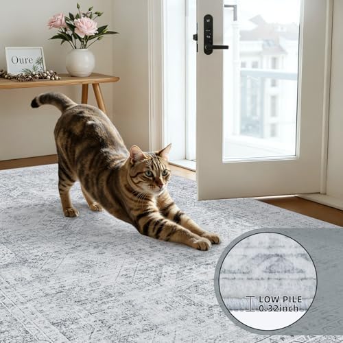 8x8 Area Rugs Living Room: Bedroom Neutral Washable Carpet Gray