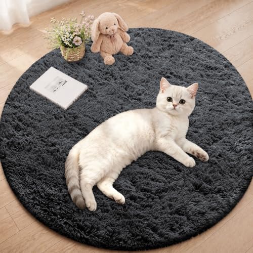 Smiry Round Area Rugs for Living Room Bedroom 2x2 ft, Fluffy Carpet
