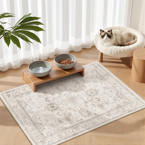 Madane 2x3 Washable Rugs for Entryway, Soft Neutral Throw Rug Brown/Ivory