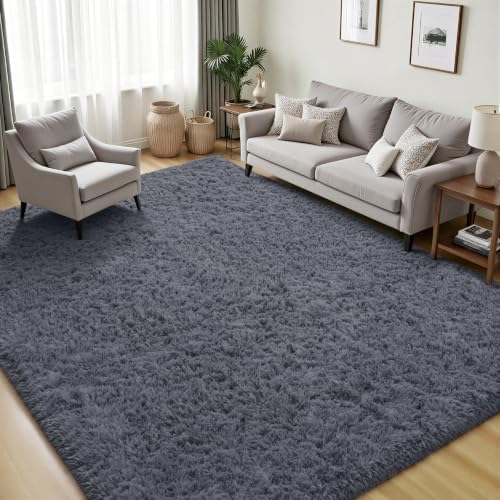 PLHXFR 4x6 Area Rugs Living Room: Fluffy Bedroom Rug Shag Carpet Grey