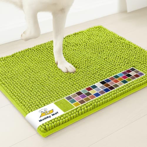 Muddy Mat® | Super Water Absorbent Door Mat Indoor, Microfiber Quick Dry Chenille Entryway Rug,Slip Resistant Front Door Mat,Indoor Mats for Entryway,Machine Washable Pet Rug, Spring Green 28" x 48"