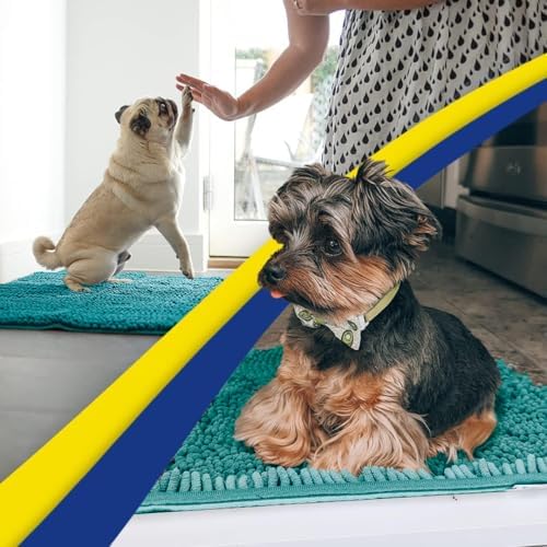 Muddy Mat® | Super Water Absorbent Door Mat Indoor, Microfiber Quick Dry Chenille Entryway Rug, Slip Resistant Front Door Mat, Indoor Mats for Entryway, Machine Washable Pet Rug, Teal 48" x 72"