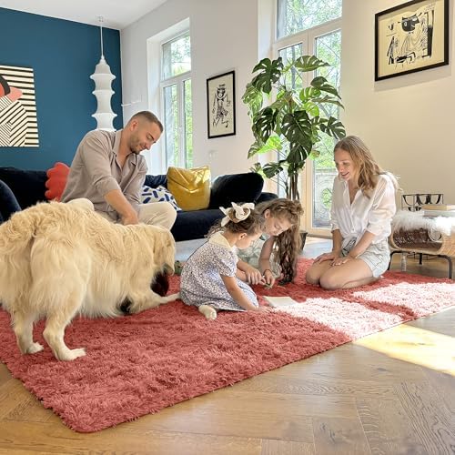 OLANLY 2x3 Machine Washable Small Bedside Rug, Soft Fluffy Shaggy Entryway Throw Rugs for Bedroom, Living Room, Indoor Floor Carpet for Kids Girls and Boys, Home Decor Aesthetic, Rust Red