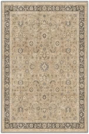 Bavni 2x3 Doormat, Vintage Floral Washable Non Slip Area Rug for Entrance