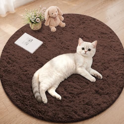 Smiry Round Area Rugs for Living Room Bedroom 2x2 ft, Fluffy Carpet