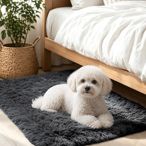 Smiry Area Rugs for Living Room Bedroom 2x3 ft, Fluffy Washable Carpet