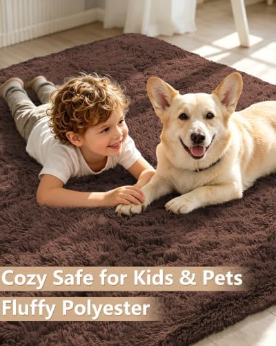 Smiry Round Area Rugs for Living Room Bedroom 2x2 ft, Fluffy Carpet