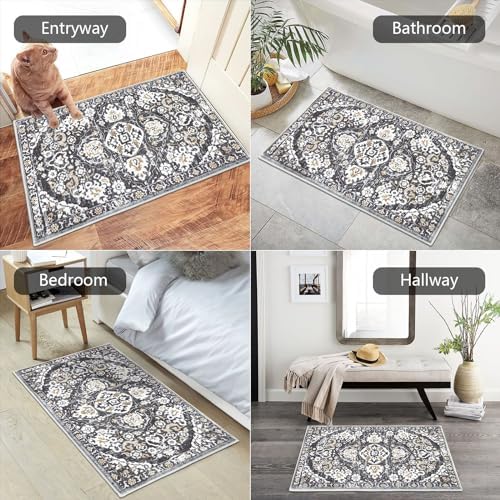 HEBE Indoor Door Mat 2'x3', Washable Welcome Mat for Front Door Entrance