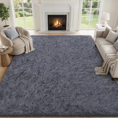 PLHXFR 6x9 Area Rugs Living Room: Fluffy Bedroom Rug Shag Carpet Grey