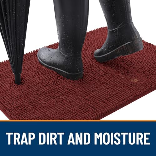 OLANLY Dog Door Mat for Muddy Paws 59x35, Super Absorbent Chenille Mud Mat