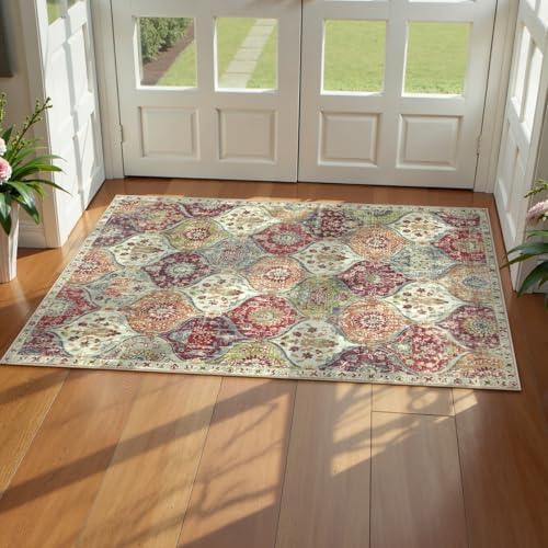Lahome Washable Entryway Rug, 2x4 Kitchen Rugs for Entryway Bathroom