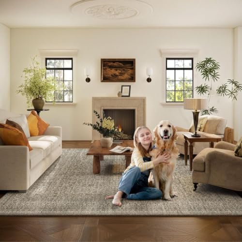 10x12 Area Rugs for Living Room: Large Rugs Washable Stain Resistant Non Slip Distressed Vintage Rug Low Pile Faux Wool Soft Carpet for Bedroom Farmhouse Dining Room Nursery Kids Playroom