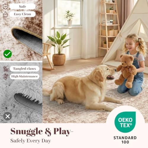 Homemate Washable Rug 5x7 Area Rugs - Vintage Rugs for Living Room