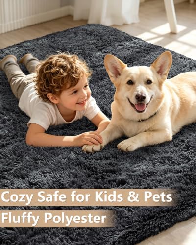 Smiry Area Rugs for Living Room Bedroom 2x3 ft, Fluffy Washable Carpet