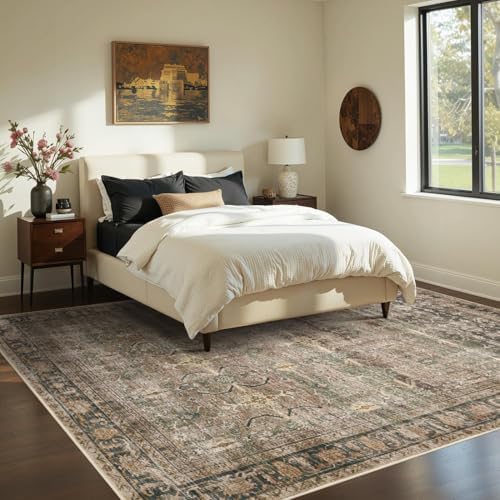 Rugxara Brown Area Rugs 5x7 Washable Rug for Living Room Bedroom