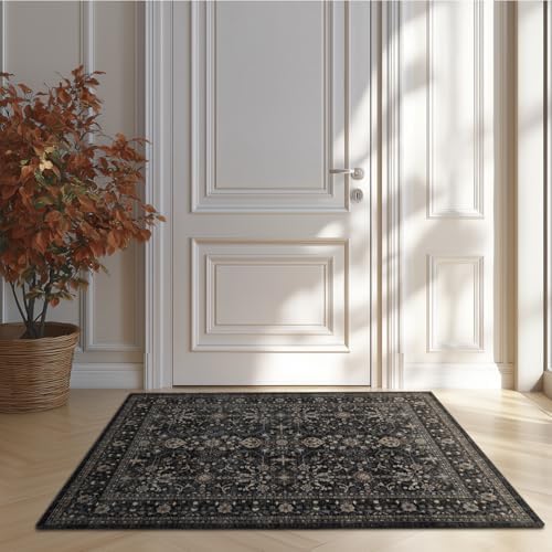 Ruaruarug Washable Small Area Rug 2×3 for Entryway, Ultra Soft, Black Grey