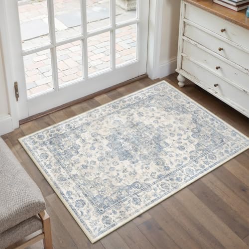 2x3 Blue Neutral Area Rug