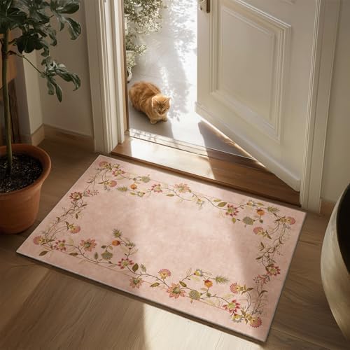 2x3 Washable Small Entryway Rug: Door Mat Indoor Entrance Soft Throw Carpet