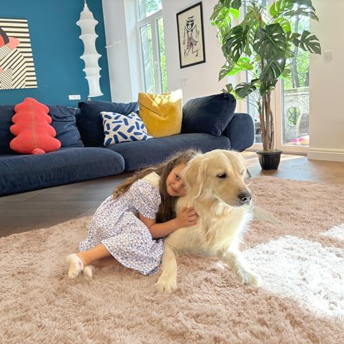 OLANLY 4x4 Machine Washable Accent Rug, Soft Fluffy Shaggy Area Rug for Bedroom, Living Room, Indoor Floor Carpet for Kids, Nursery, Home Decor, Beige