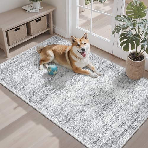 Soalmost 3x4 Rugs Non-Slip, Small Washable Kitchen Entryway Area Rug Grey