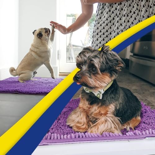 Muddy Mat® | Super Water Absorbent Door Mat Indoor, Microfiber Quick Dry Chenille Entryway Rug, Slip Resistant Front Door Mat, Indoor Mats for Entryway, Machine Washable Pet Rug, Purple 30" x 48"