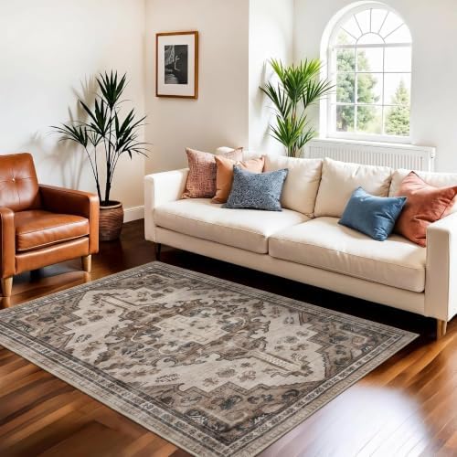 Joydeco 3x5 Area Rugs Vintage for Living Room, Light Coffee