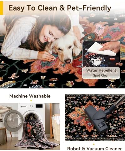 RELEANY Washable Area Rug, Small 2'6"x4', Black/Colorful