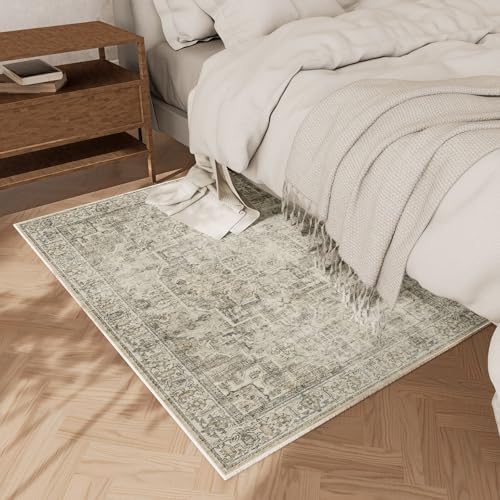 Machine Washable Throw Rugs for Entryway: Door Mat Indoor Entrance 2x3 Small Rug Stain Resistant Non-Slip Low Pile Soft Carpet for Kitchen Front Door Indoor Entry Bathroom Bedroom