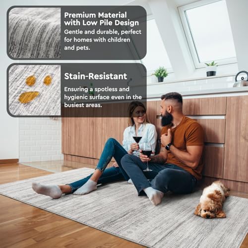 Small Area Rug-2x3 Entryway Rug Non Slip Washable Low Pile Indoor Door Mat Neutral Distressed Boho Moroccan Entrance Rugs Carpet for Bedroom Kitchen Powder Room Front Porch Bathroom, Grey
