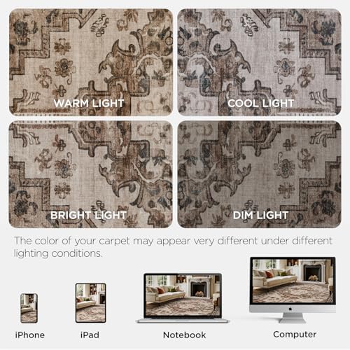 Joydeco 3x5 Area Rugs Vintage for Living Room, Light Coffee