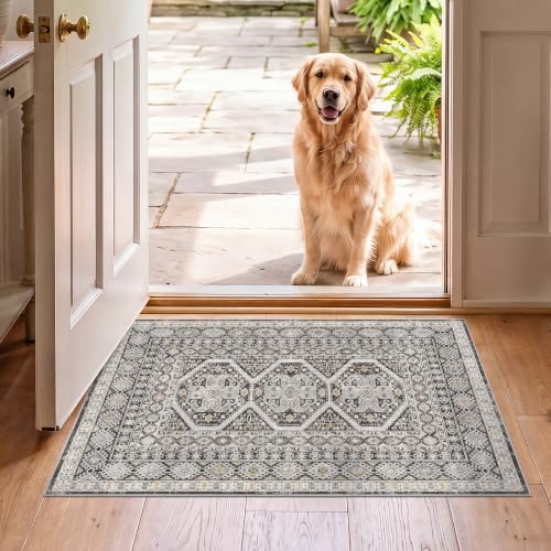 2x3 Area Rug Washable Vintage: Non Slip Throw Rugs for Entryway Floor Black