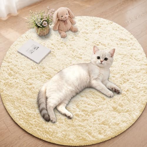 Smiry Round Area Rugs for Living Room Bedroom 2x2 ft, Fluffy Carpet